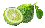  Bergamot