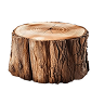 Woods